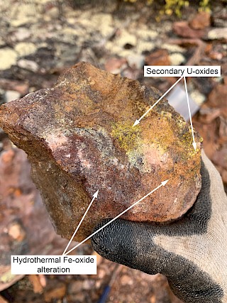 Photo 2. Athabasca sandstone hosting secondary uranium oxide/hydroxide mineralization with associated hydrothermal hematite
